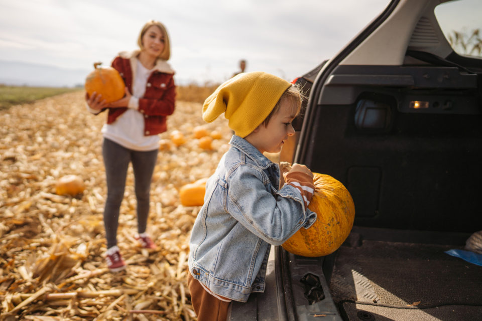 Photo of a cute little boy putting pumpkins into a car trunk