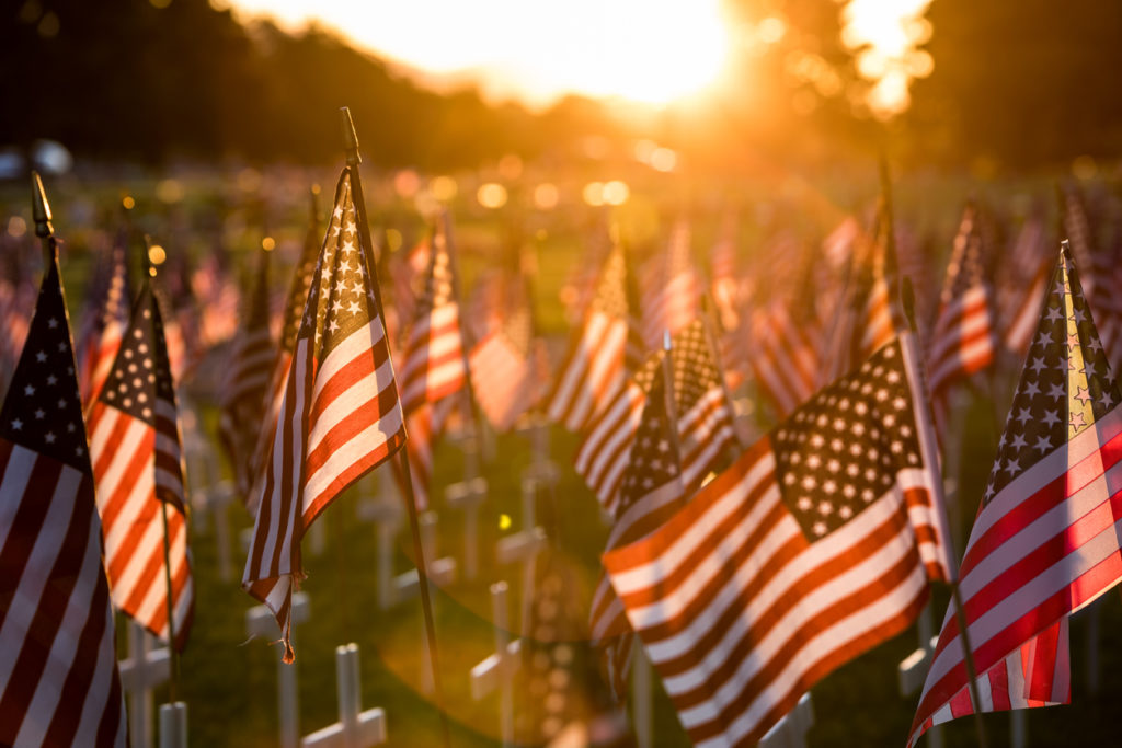 Memorial Day flags