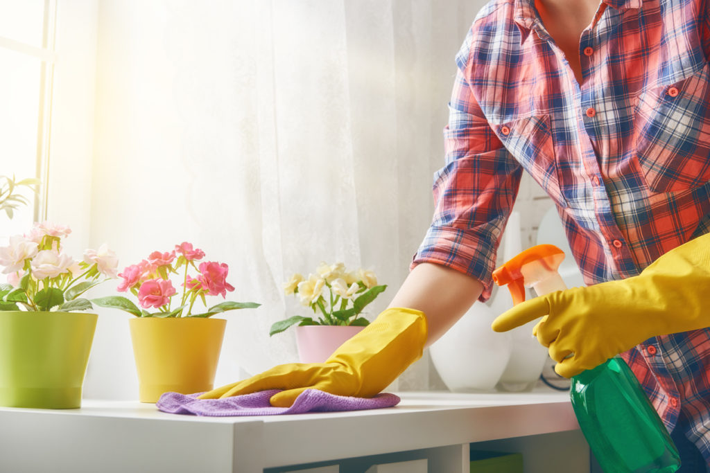 someone in rubber gloves cleaning counters in their home with sunlight in the window